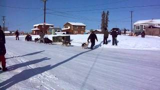 Fort Yukon Alaska race dog sled mushing [upl. by Noroj694]