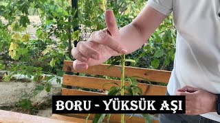 YÜKSÜK  BORU AŞISI  En Kolay Aşı [upl. by Yeslehc]