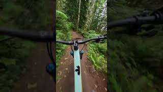 Best flow trail in the Seattle Area [upl. by Llerdna]