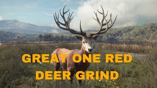 GREAT ONE RED DEER GRIND TUTORIAL [upl. by Winfield]