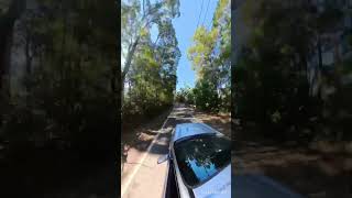 Springbrook mountain runs in the wrx explore wrx subaru adventure goldcoast [upl. by Kirt]