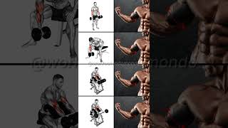 SHORT HEAD BICEP EXERCISES Build BIGGER Upper Arms FAST [upl. by Avika]