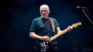 David Gilmour  Comfortably Numb Live In São Paulo Brazil [upl. by Enimasaj]