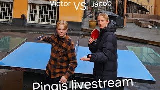 Pingis Livestream [upl. by Berriman]