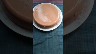 Chocolate pudding with milo මයිලෝ වලින් චොක්ලට් පුඩින් 😜😃 short puddin [upl. by Nagel]