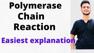 Polymerase Chain Reaction  PCR in Microbiology [upl. by Salvadore132]