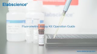 Fluorometric Assay Kit Experimental Operation Guide [upl. by Corin]