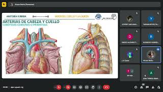 SUBCLAVIA Y RELACIONES ANATÓMICAS IRRIGACIÓN E INERVACIÓN DE CUELLO [upl. by Montague711]