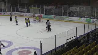 Fife Flames vs Dundee Stars [upl. by Skipp]