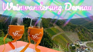 Weinwanderung Dernau [upl. by Shayna]