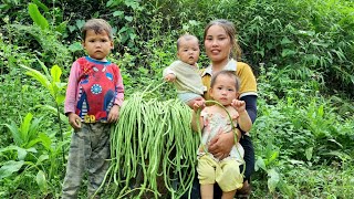 Harvest long beans with your children and bring them to the market to sell  feed them porridge [upl. by Refannej]