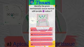 Tissues Part 14 Plant tissues  Class 9 Science  Meristematic tissues  shorts [upl. by Hako190]