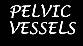 Chp34  Pelvic Vessels  Internal Iliac Artery amp Vein  BDC Vol2  Dr Asif Lectures [upl. by Kippie]