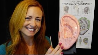 ASMR Auriculotherapy Role Play  Ear SeedsEar CleaningClose UpBinaural [upl. by Shere]