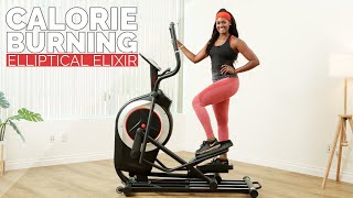 30 Minute Calorie Burning Elliptical Elixir Workout [upl. by Yeldnarb696]