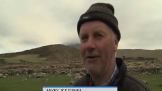 Irish Farmers Glorious Accent Is So Strong Here are the subtitles [upl. by Deeas]