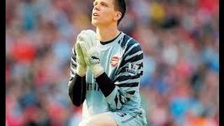 Wojciech Szczęsny  Dłonie Jak Stal [upl. by Nnanerak324]