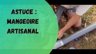 Astuce Poules mangeoire [upl. by Nosydam]