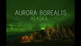 Aurora Borealis Northern Lights in Alaska  September 2019 [upl. by Acirred]