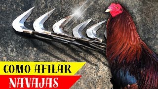 Como se afilan las navajas para gallos [upl. by Ennylcaj]