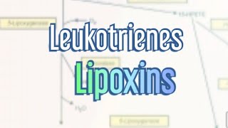 Leukotrienes Biochemistry  LTs Lipoxins Lx Lipoxygenase Pathway HPETE [upl. by Mathi]