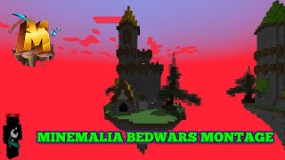 19 BEDWARS MONTAGE [upl. by Hedva]