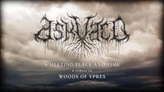 ASKVALD  A meeting place and time WoY cover [upl. by Brandes819]