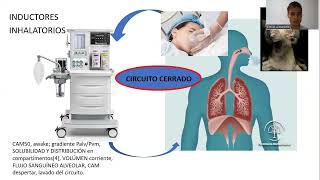 TODO SOBRE INDUCTORES ANESTÉSICOS [upl. by Lenahc]