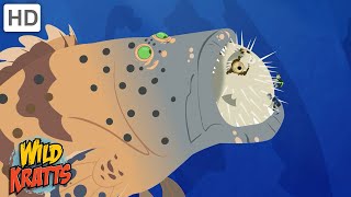 Creature Battles  Every Creature Showdown Part 12 Wild Kratts [upl. by Darryl]