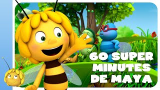 Maya labeille  compilation de 60 super minutes [upl. by Weinreb]