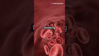 What is Cerebrospinal Fluid [upl. by Dranek]