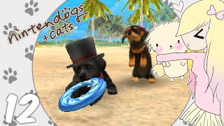 Lets Play Nintendogs  Cats Toy Poodle  EP12 Ace has friends ´∇ﾉ｀ノ [upl. by Neirual]