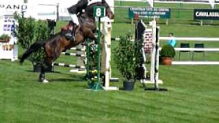 ♂ Nerios du Banco jumping stallion SF by Glory du Banco [upl. by Kcirdorb]