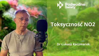 Dr Łukasz Kaczmarek  Toksyczność NO2 [upl. by Aenil177]