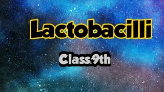 Lactobacilli  class 9 [upl. by Aneetsyrk768]