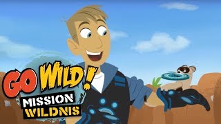 Go Wild Mission Wildnis  Bandito der Schwarzfussiltis  Folge 25 [upl. by Grimaldi]