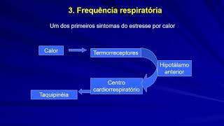 Termorregulação 3 [upl. by Zedecrem]