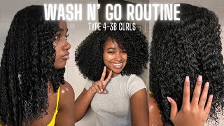 My Wash N Go Routine 2024  Type 43B Natural Curly Hair [upl. by Kreager]