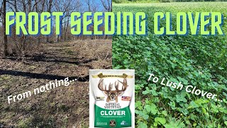 Frost Seeding Prep Work  Blower Method  Spring Clover Planting [upl. by Ahsenet536]