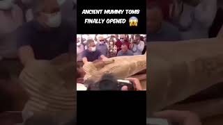 Unsealing a 2500YearOld Mummy Tomb Live AncientEgypt MummyMystery archaeology [upl. by Worrad898]