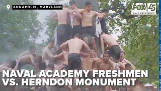 LIVE Naval Academys annual Herndon Monument Climb [upl. by Oremo]