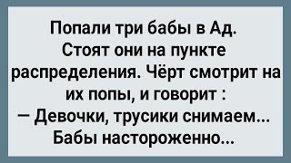 Как Три Бабы в Ад Попали Сборник Свежих Анекдотов Юмор [upl. by Ynner162]