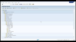 SAP Navigation For Beginners [upl. by Massab]