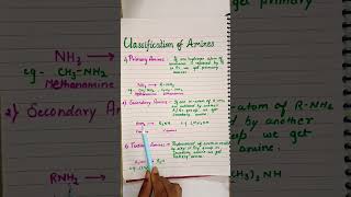 Amines Organic Chemistry 12th video 1 chemistry ytshorts shortvideo [upl. by Essyla]