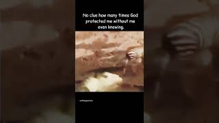 God watches over his people funny hopemelaka memes fyp viralshorts motivation funniestvideo [upl. by Yrennalf236]