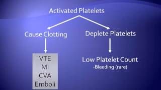 HeparinInduced Thrombocytopenia [upl. by Andras]