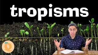 Plant Tropisms  For Kids [upl. by Anuaf]