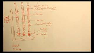 DEMONSTRATION OF SOIL CAPILLARITY [upl. by Nelan]