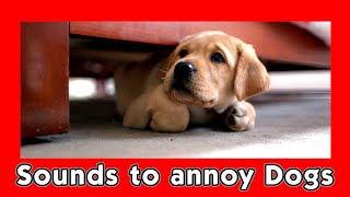 Sounds to Annoy Dogs  Sounds DOGS Hate [upl. by Anisamot852]