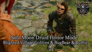 Solo Moon Druid Blighted Village Honor Mode [upl. by Githens623]